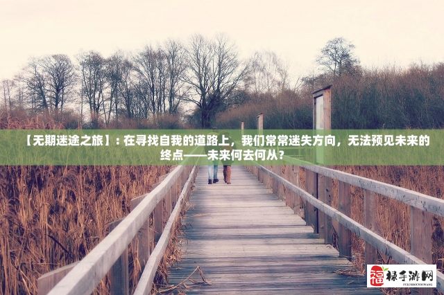 【无期迷途之旅】: 在寻找自我的道路上，我们常常迷失方向，无法预见未来的终点——未来何去何从？